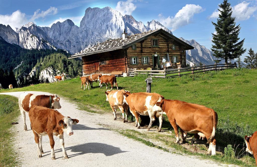 Ferienwohnungen Schweinoester Lofer Exteriör bild